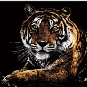 skretç rəsm "pələng"