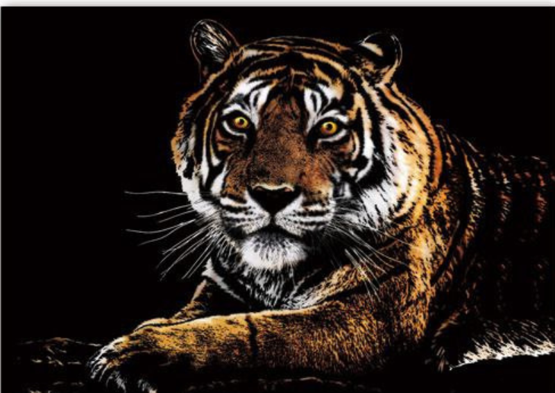 skretç rəsm "pələng"