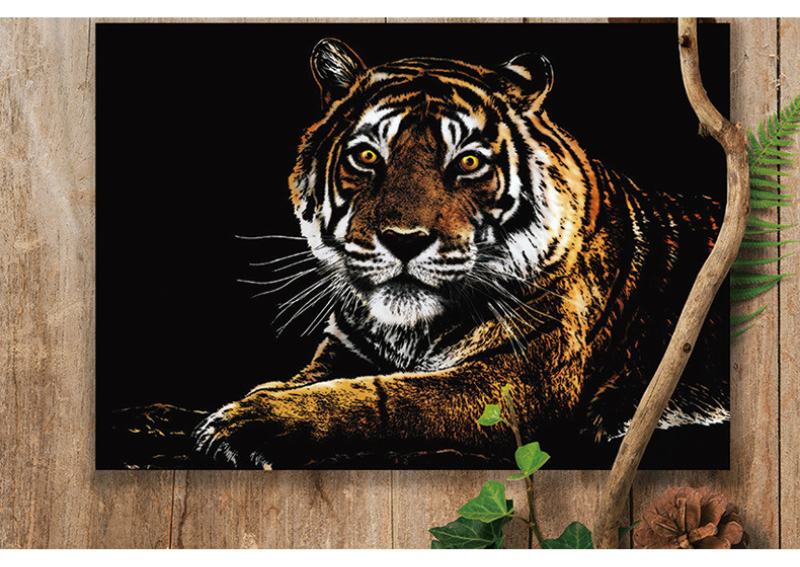 skretç rəsm "pələng"