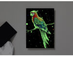 skretç rəsm seti neon, pişik, papuqay ay, kolibri, neon scratch art set
